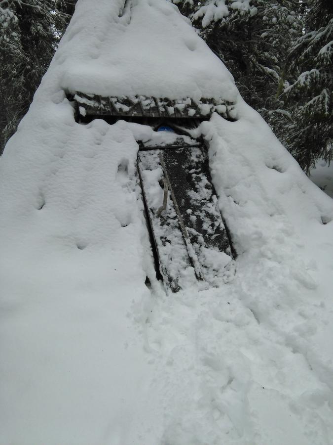 Gafsele Lappland Hostel Väster Gafsele Εξωτερικό φωτογραφία
