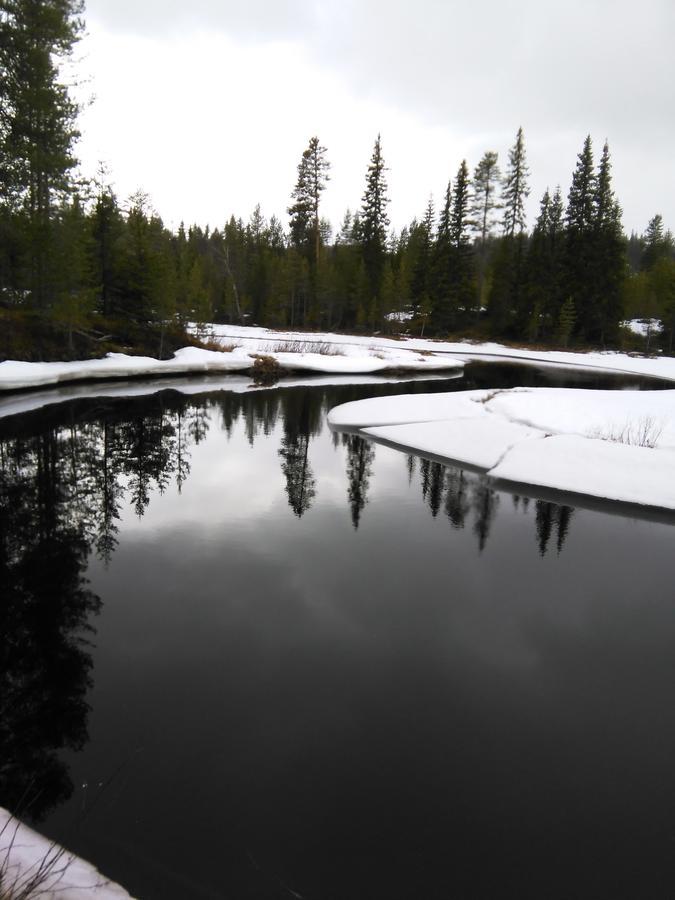 Gafsele Lappland Hostel Väster Gafsele Εξωτερικό φωτογραφία