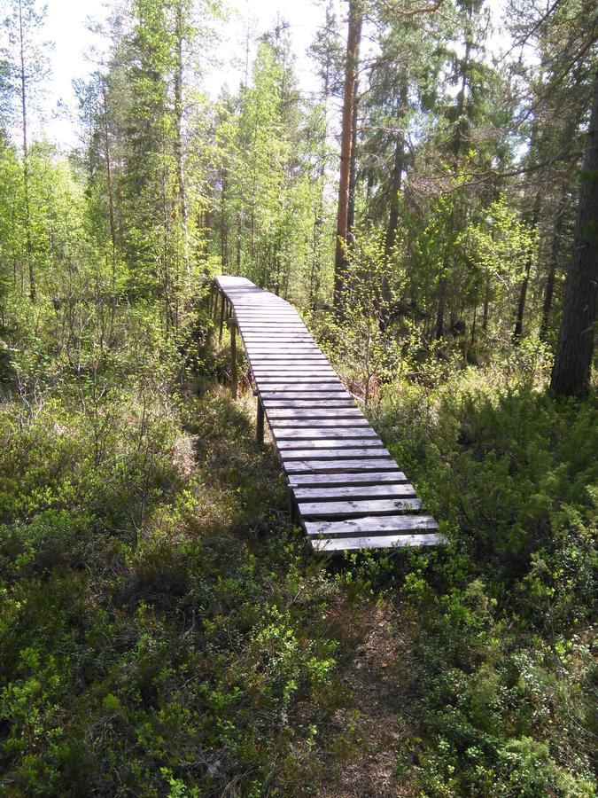 Gafsele Lappland Hostel Väster Gafsele Εξωτερικό φωτογραφία